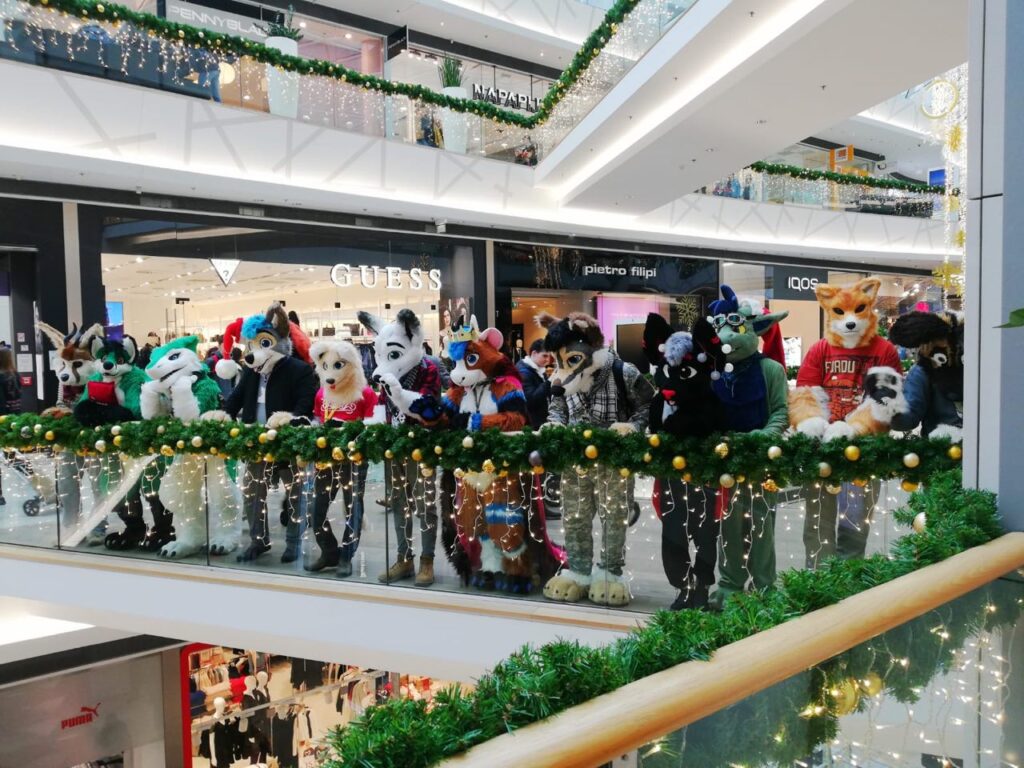 photo_2025-01-24_16-46-56